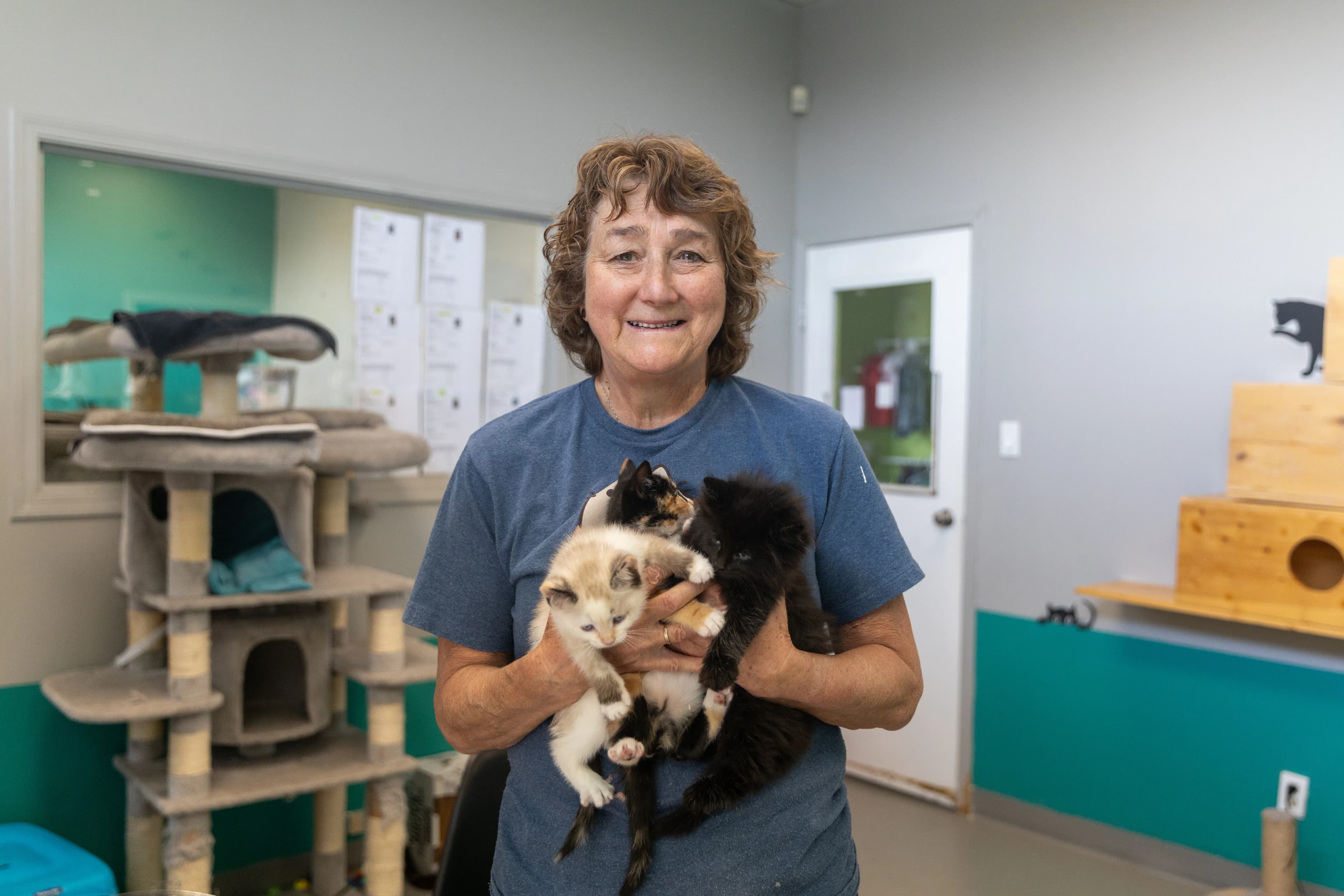 Volunteer Holding Kittens